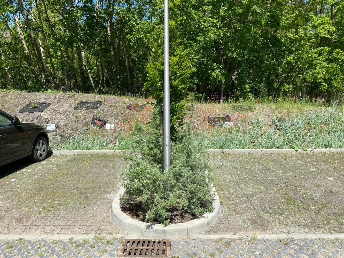 Świnoujście Apartpark Albus1 מראה חיצוני תמונה